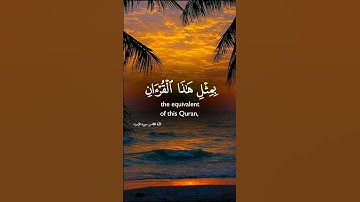 تلاوة خاشعة تهز القلوب 💔 🤍 بصوت جميل #ياسر_الدوسري | #الراحة_النفسية 😌🎧🤍🤍
