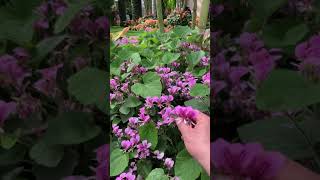 IMG 0213