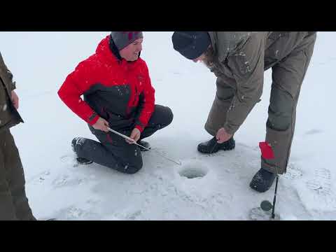 Риба не влізла в 130 лунку. Окунь на балансир