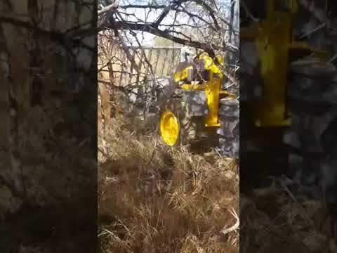 Wuhlf Buffel Demo 2 - Ontbossing