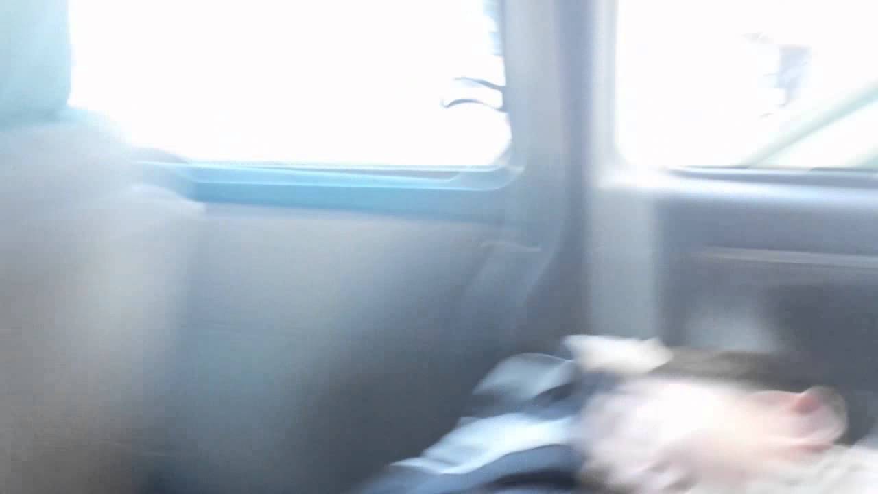 Best smackcam ever learn from KSI