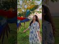 nature is wonderfull