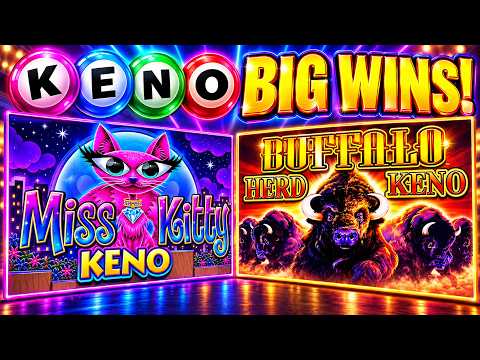 SUPER BIG WIN in BUFFALO HERD KENO and 100x WIN in MISS KITTY KENO! #keno #clubfortune