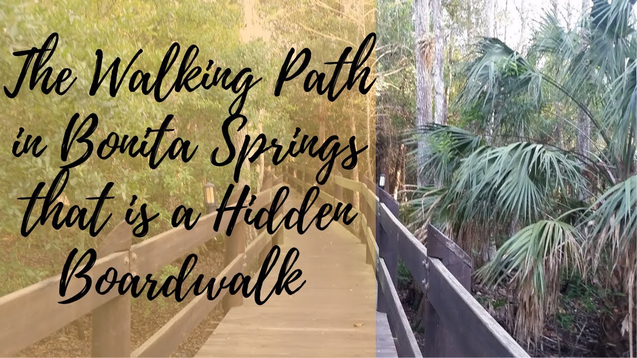 Hidden Bonita Springs Boardwalk Walking Path Things to Do in Bonita
