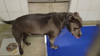 acs A664633