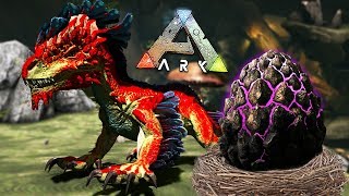 Ark Survival Evolved - Baby Rock Drake Egg Hatching & Raising Ark Aberration