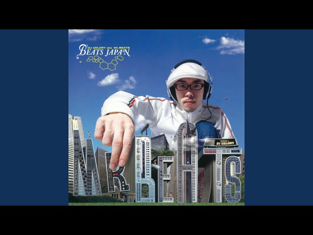 Mixed by Mr.BEATS a.k.a. DJ CELORY ５枚セット Mr.BEATS aka DJ CELORY（DJ セロリ） - 【MIX CD（ミックスCD)/新譜