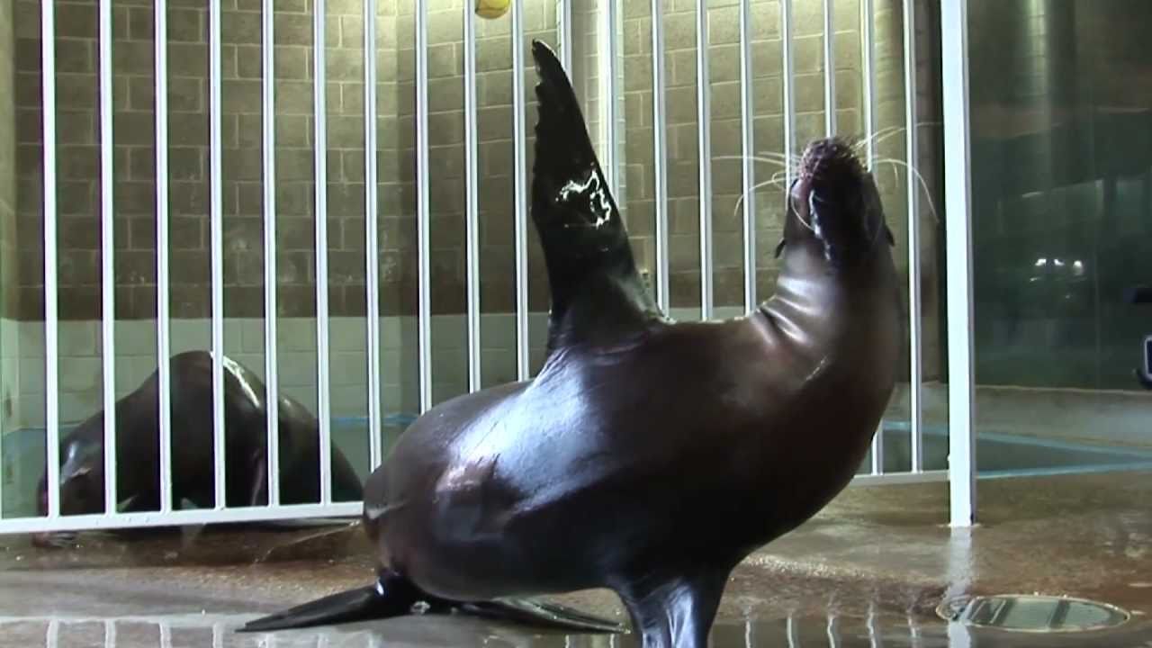 A Day In The Life With Sparky