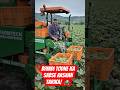 Bhindi Todne Ka Sabse Aasaan Tarika🚜 ✨#AgriTech Agriculture #SmartFarming #HarvestingMachine #Bhindi