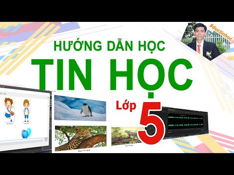 Video Hướng dẫn bài tập Hoạt động ứng dụng, mở rộng trang... - YouTube