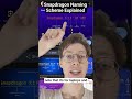 Snapdragon CPU Naming Scheme Explained (like Intel &amp; AMD)
