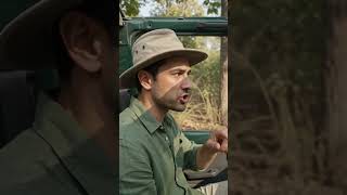Jungles Safari Amazon forest #reels #jungle #usashorts #forest #viralvideo #amazon #shorts #trending