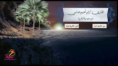 الشيخ / إبرأهيم شامي    سورة البقرة من 182 الئ 185