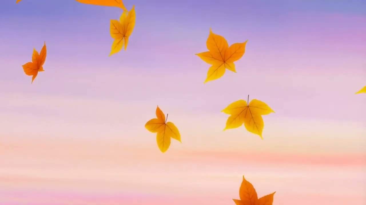 Autumn Field 🍂 Lofi and Anime Drift