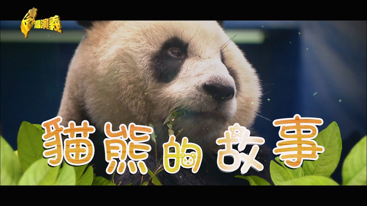 【台灣演義】貓熊的故事 2026.06.14 | Taiwan History