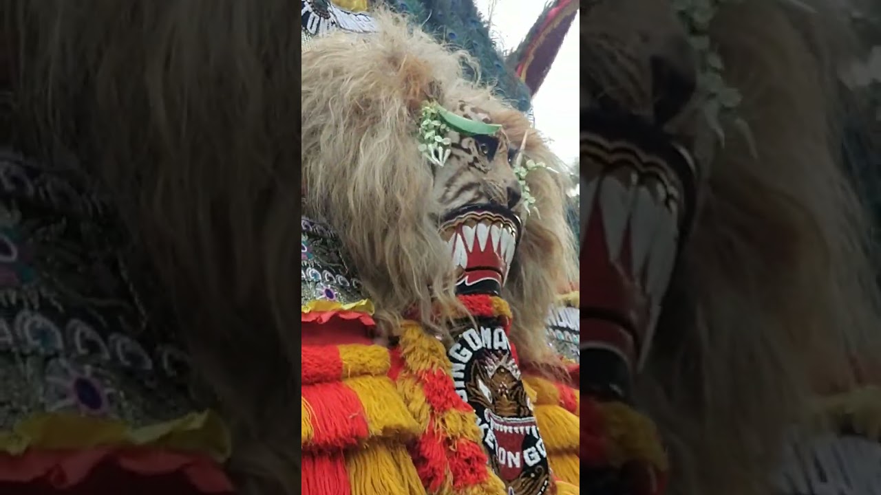 Gelar Budaya REOG Ponorogo di Desa Plancungan acara Reseps pernikahan