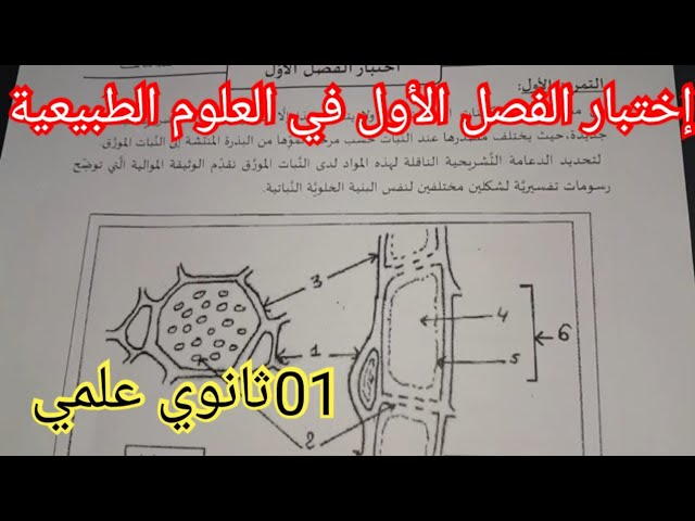 إختبار الفصل الأول في العلوم الطبيعية السنة الأولى ثانوي علمي 