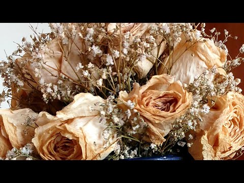 لايف خاص لجدتي مريضة اتمنى منك دعاء لها شكر