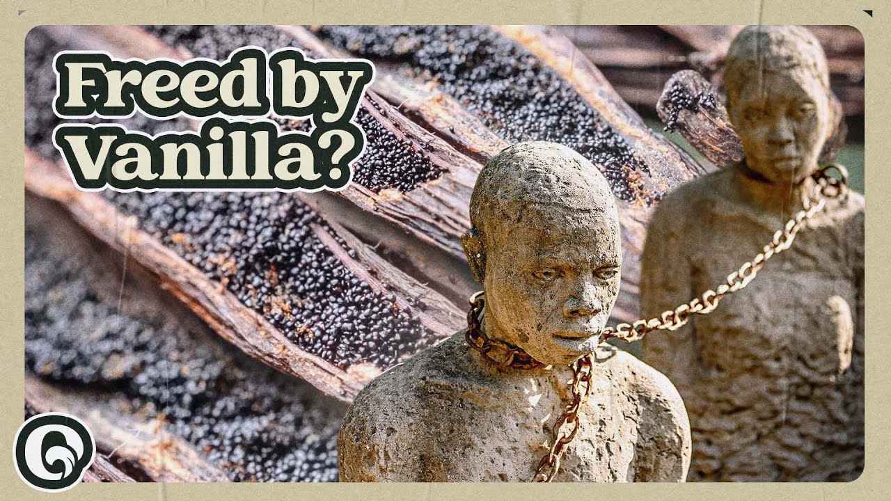 What Did The Aztecs Do With Vanilla Quick Answer Ar taphoamini what-did-the-aztecs-do-with-vanilla-quick-answer-ar-taphoamini