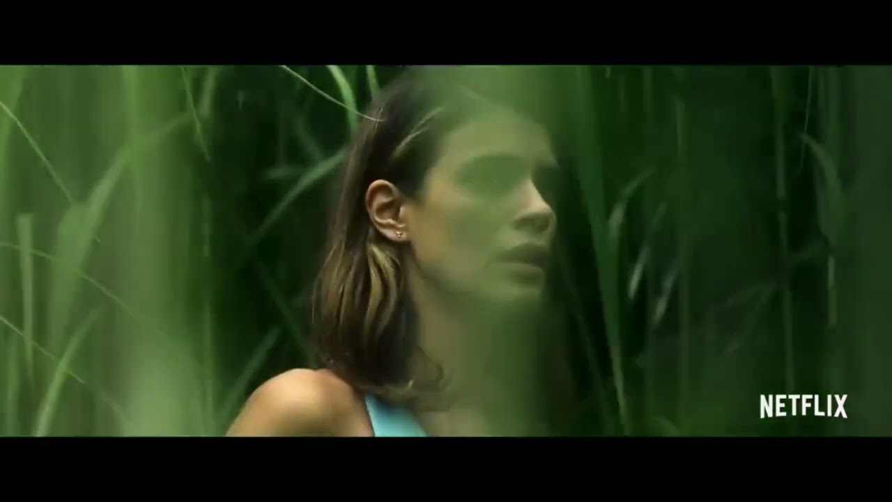 YouTube player