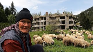 Čuvam ovce kraj Titove vile