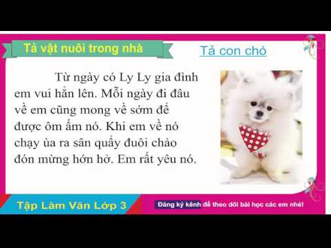 Video Tập làm văn lớp 3 Tả vật nuôi trong nhà II Tả con chó - youtube