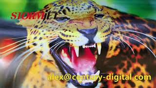 Stormjet Sj-7160S 1.6M Wide Format Eco Solvent Printer