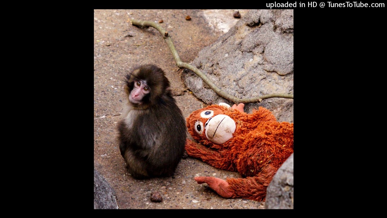 [FREE] perc40 type beat