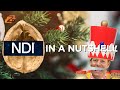 What is NDI and How Does it Work?