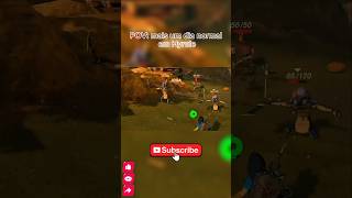 Mais um dia normal em Hyrule #zelda #nintendo @TheSmzinho