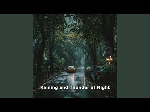 Thunder and Rain at 2 AM, Pt.13