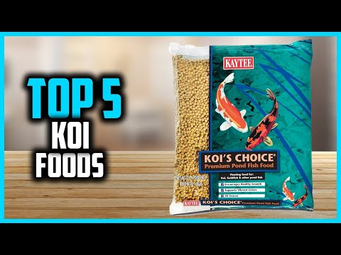 ✅ Top 5 Best Koi Foods With the Nutrients 2026