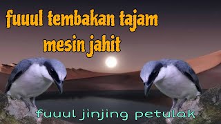 Fuuul tembakan mesin jahit 🔥🔥 jinjing petulak 