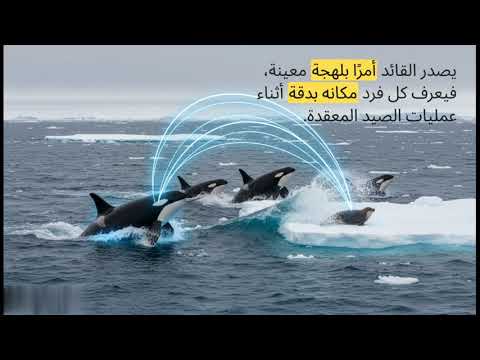 اللغة التي لا يفهمها البشر كيف تنادي الحيوانات بعضها بأسمائها 