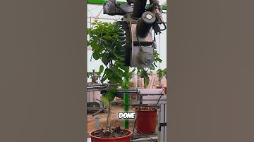 🎬 Space Farming: Robots Growing Food on Mars?