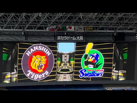 【久々ﾎｰﾑ 京セラD】#阪神タイガース オープニングムービー✨スタメン守備位置紹介 🐯先発 #村上頌樹 投手  23.8.11.  🆚 #東京ヤクルトスワローズ🏟#京セラドーム大阪