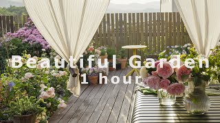 ไม่มีคำบรรยาย ไม่มี BGM / Beautiful garden Healing video 🌿 1 ชั่วโมง