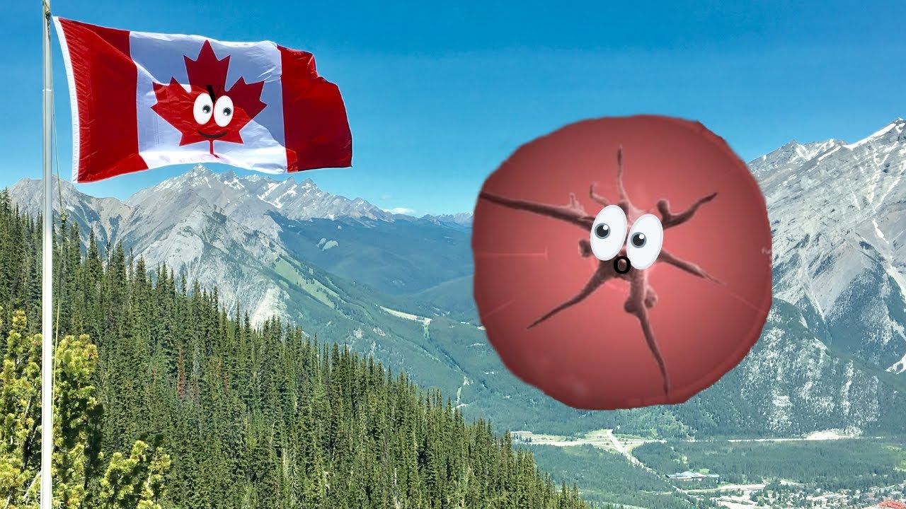 fungus-gaming-plague-inc-episode-3-youtube