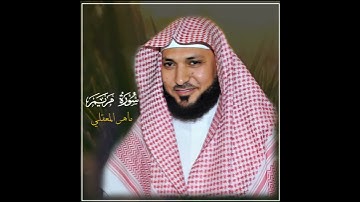 ماهر المعيقلي| حالات واتس اب دينية سورة مريم 🥺
