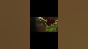 Habit 2: Begin With the End in Mind – Design Your Life 🎯