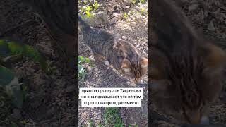 Как же трудно её оставлять но она выбрала свободу и я должна с этим смириться