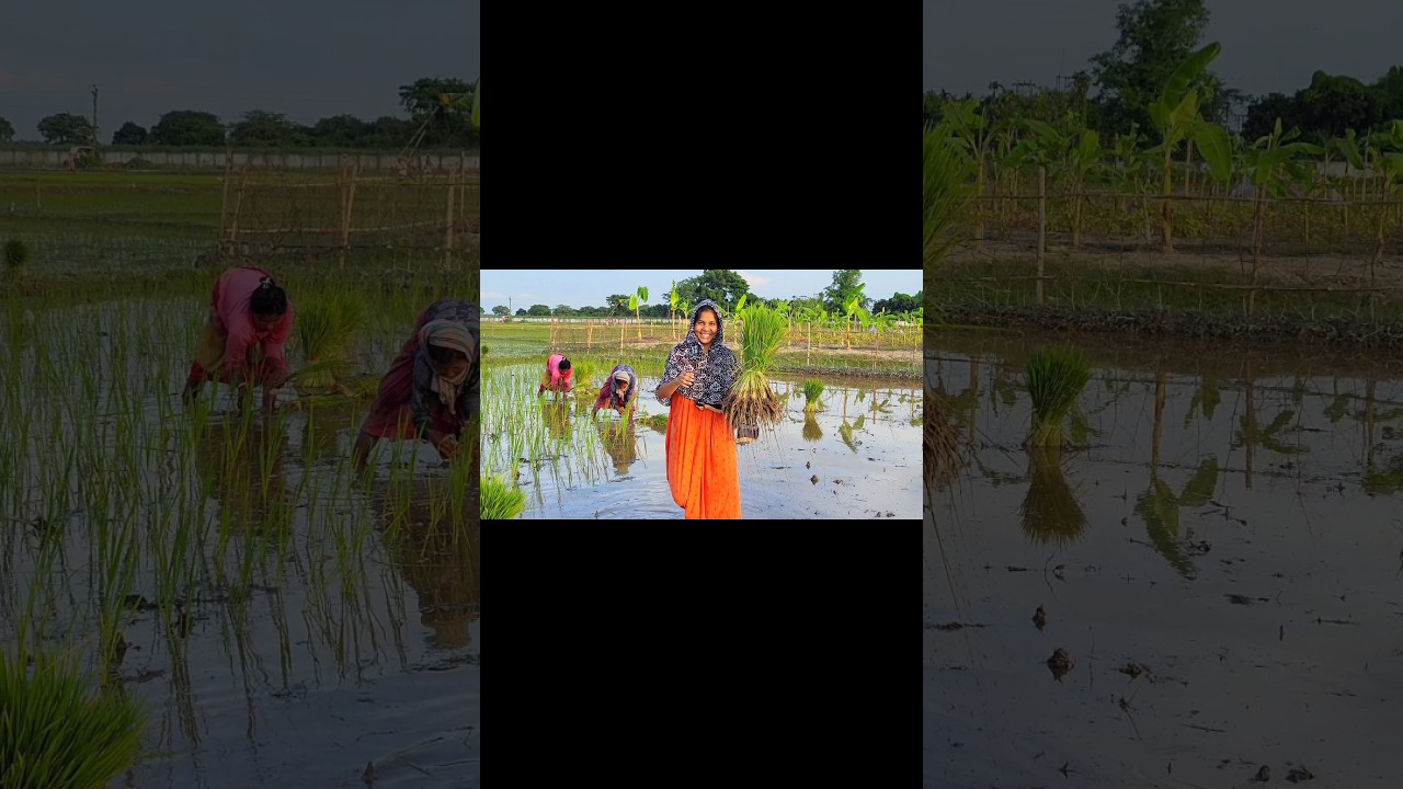 our new project comming soon 😍 