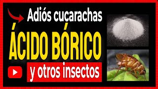 How is BORIC ACID used for COCKROACHES? ✔
