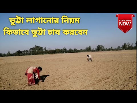 ভিডিও: আপনি কিভাবে একটি ভুট্টা ডালপালা সমর্থন করবেন?