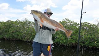 Spearfishing Snapper and Catching Big Redfish in New Port Richey Florida
