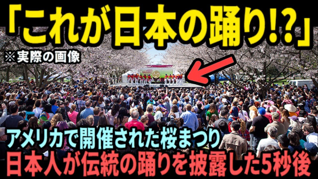 【海外の反応】「あの集団は一体何者だ!?」着物を着た謎の美女集団と屈強な男たちにアメリカ人が大熱狂したわけとは...