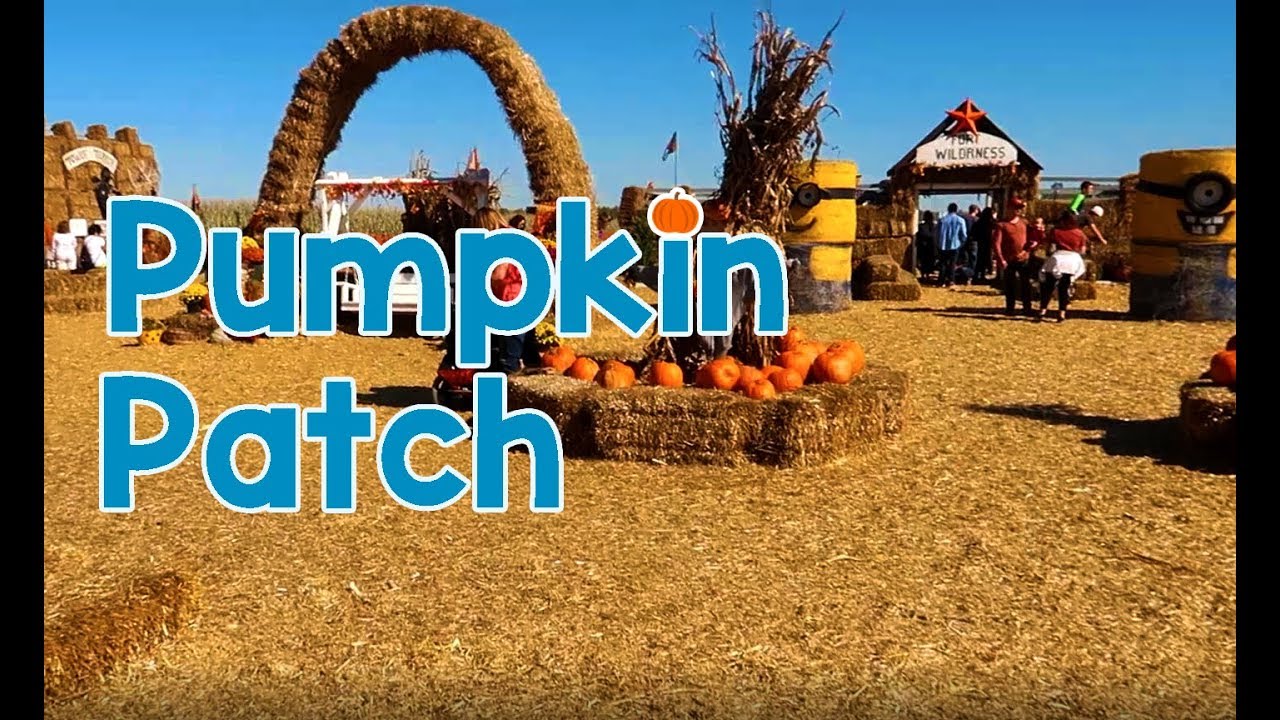 Amerikai Pumpkin Patch - YouTube