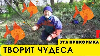 Этой чудо прикормкой Вы соберёте всю рыбу что есть в округе на зависть конкурентам