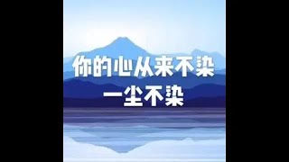 201704 你的心从来不染  一尘不染22425