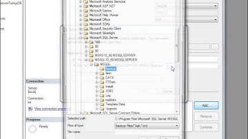 Backup a Database Using SQL Server Management Studio